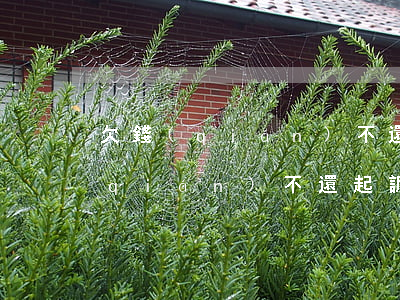 欠錢(qián)不還法律起訴模版(欠錢(qián)不還起訴法律依據(jù))