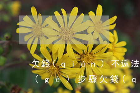 欠錢(qián)不還法院起訴流程有幾個(gè)步驟（欠錢(qián)不還怎么起訴）