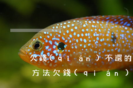 欠錢(qián)不還的人怎么辦最有效的方法(欠錢(qián)不還的人怎么辦最有效的方法熟人)