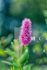 欠錢(qián)不還被起訴成功后 欠錢(qián)不還起訴之后