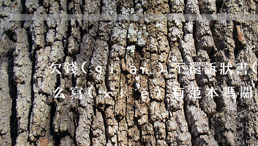 欠錢(qián)不還訴狀書(shū)怎么寫(xiě)有范本嗎(關(guān)于欠錢(qián)不還的訴訟狀怎么寫(xiě))