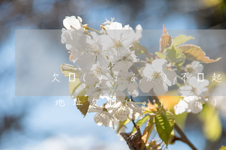 欠錢(qián)不還起訴對(duì)方地址(欠錢(qián)不還沒(méi)對(duì)方地址怎么起訴)