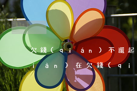 欠錢(qián)不還起訴成本高嗎(現(xiàn)在欠錢(qián)不還起訴他起訴費(fèi)是多少)
