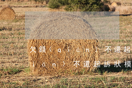 欠錢(qián)不還起訴狀樣本(欠錢(qián)不還起訴狀模板范文)