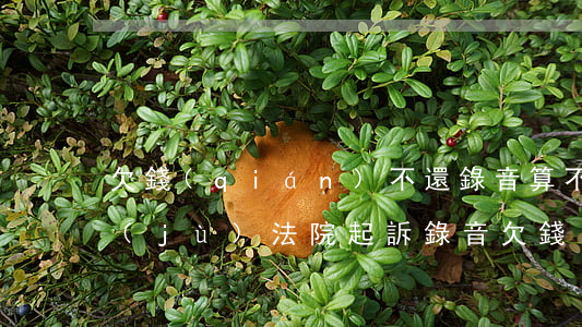 欠錢(qián)不還錄音算不算有利證據(jù)（法院起訴錄音欠錢(qián)不還）