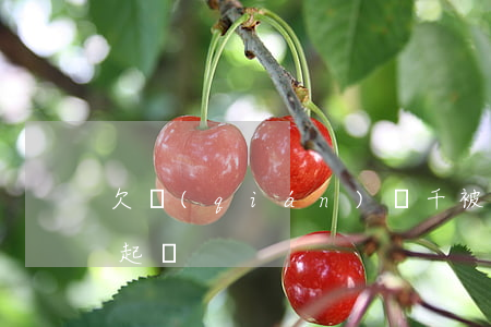 欠錢(qián)兩千被起訴(欠款兩千元被起訴)