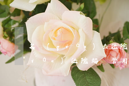 欠錢(qián)去法院告有用么（欠錢(qián)法院起訴管用嗎）