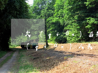 欠錢(qián)后失蹤起訴有用嗎-欠錢(qián)人失蹤了債務(wù)怎么辦