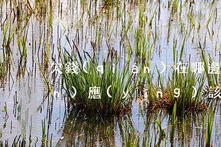 欠錢(qián)在哪邊起訴 欠錢(qián)應(yīng)該在哪里起訴