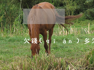欠錢(qián)多久被起訴