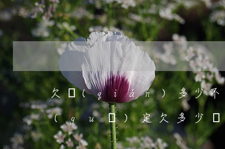 欠錢(qián)多少不還可以立案(法律規(guī)定欠多少錢(qián)可以立案)