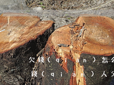 欠錢(qián)怎么告訴父母（如何起訴欠錢(qián)人父母）