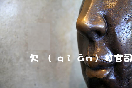 欠錢(qián)打官司后果(欠款 打官司)