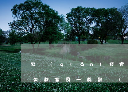 欠錢(qián)打官司執(zhí)行難(欠款官司一般到執(zhí)行怎么執(zhí)行)