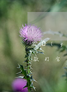 欠錢(qián)打官司費(fèi)用 欠款打官司需要多少錢(qián)