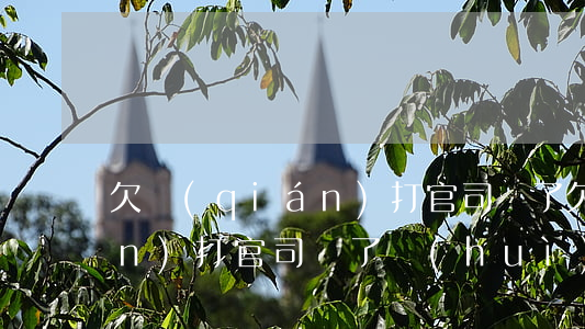 欠錢(qián)打官司輸了(欠錢(qián)打官司輸了會(huì)拘留嗎)
