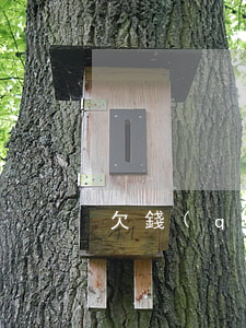 欠錢(qián)法院起訴多久立案