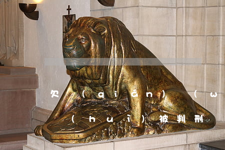 欠錢(qián)無(wú)力償還被起訴會(huì)被判刑嗎?-欠錢(qián)無(wú)力償還被起訴會(huì)被判刑嗎知乎