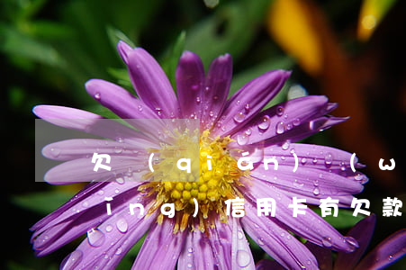 欠錢(qián)無(wú)逾期申請(qǐng)信用卡(有欠款但是沒(méi)有逾期可以申請(qǐng)信用卡嗎)