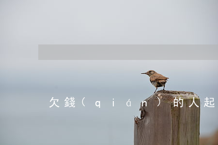 欠錢(qián)的人起訴了怎么辦