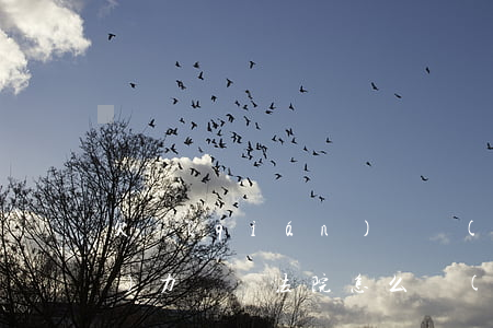 欠錢(qián)確實(shí)無(wú)力償還法院怎么強(qiáng)制執(zhí)行-欠款多少會(huì)被起訴坐牢