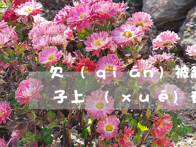 欠錢(qián)被起訴了對(duì)孩子上學(xué)有影響嗎-欠錢(qián)被起訴了對(duì)孩子上學(xué)有影響嗎知乎