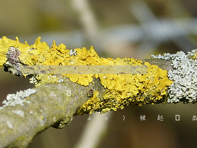 欠錢(qián)被起訴出庭怎么做(欠錢(qián)被起訴出庭怎么做調(diào)解)