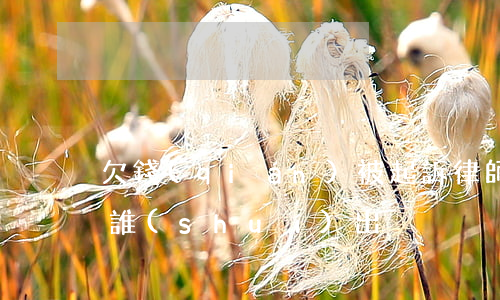 欠錢(qián)被起訴律師費(fèi)誰(shuí)出