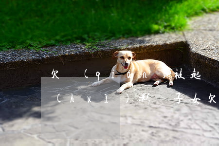 欠錢(qián)被起訴會(huì)不會(huì)影響子女(欠錢(qián)起訴后會(huì)影響子女就業(yè)嗎)