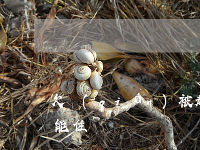 欠錢(qián)被起訴能住賓館嗎 被起訴能住賓館嗎?
