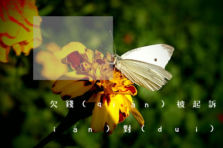 欠錢(qián)被起訴還了一部分錢(qián)對(duì)方不承認(rèn)該怎么辦（欠錢(qián)被起訴還一部分）