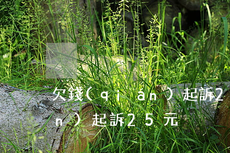 欠錢(qián)起訴25元 欠錢(qián)起訴25元
