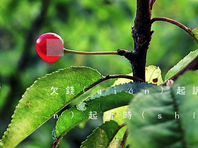 欠錢(qián)起訴保留期(欠錢(qián)起訴時(shí)間有效期)