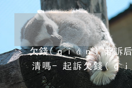 欠錢(qián)起訴后他拿走一些東西算清嗎-起訴欠錢(qián)的能拿回錢(qián)嗎
