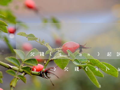 欠錢(qián)起訴后多久拿到錢(qián)(欠錢(qián)起訴以后,多久能回錢(qián))