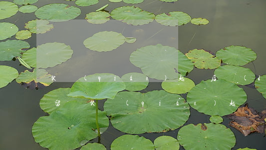 欠錢(qián)起訴后對(duì)方拘留嗎(欠錢(qián)起訴會(huì)拘留嗎)