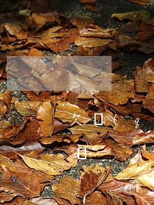 欠錢(qián)起訴后會(huì)抓人嗎