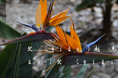 欠錢(qián)起訴怎么保證還錢(qián)(欠錢(qián)起訴怎么保證還錢(qián)的效力)