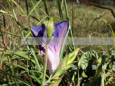 欠錢(qián)起訴怎么查(欠錢(qián)起訴怎么查被告身份證)