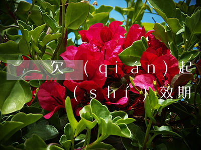 欠錢(qián)起訴日期能改嗎(欠款起訴時(shí)效期)