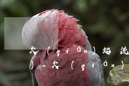 欠錢(qián)起訴流程律師費(fèi)-欠錢(qián)起訴流程訴訟費(fèi)