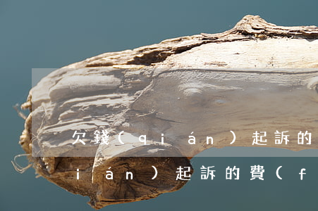 欠錢(qián)起訴的各種賠償(欠錢(qián)起訴的費(fèi)用標(biāo)準(zhǔn))