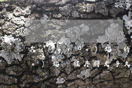 欠錢(qián)起訴的程序(欠錢(qián)起訴程序得走多久)
