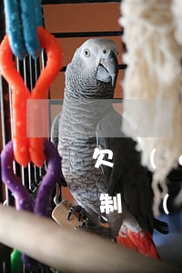 欠錢(qián)起訴能強(qiáng)制執(zhí)行嗎(欠錢(qián)起訴可以直接執(zhí)行嗎)