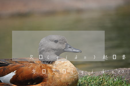 欠錢(qián)起訴要告訴對(duì)方嗎 欠錢(qián)起訴對(duì)方需要律師嗎