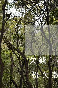 欠錢(qián)起訴證據(jù)打印幾份 欠款起訴證據(jù)清單怎么寫(xiě)