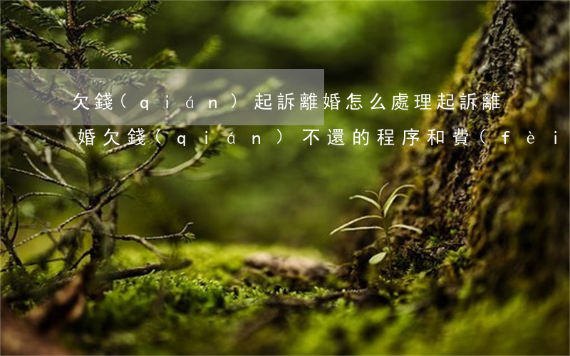 欠錢(qián)起訴離婚怎么處理(起訴離婚欠錢(qián)不還的程序和費(fèi)用)