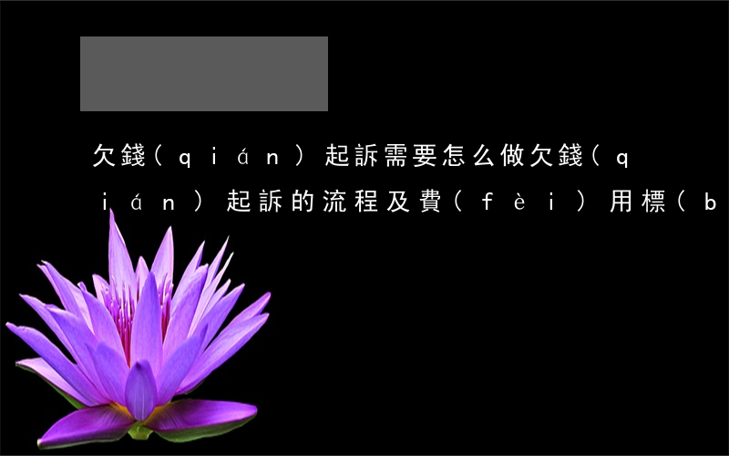 欠錢(qián)起訴需要怎么做(欠錢(qián)起訴的流程及費(fèi)用標(biāo)準(zhǔn))