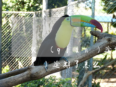 欠錢(qián)逾期的小伙(欠錢(qián)逾期了怎么辦?)