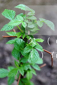 欠錢(qián)過(guò)多沒(méi)有能力償還怎么辦-欠錢(qián)過(guò)多沒(méi)有能力償還怎么辦呢